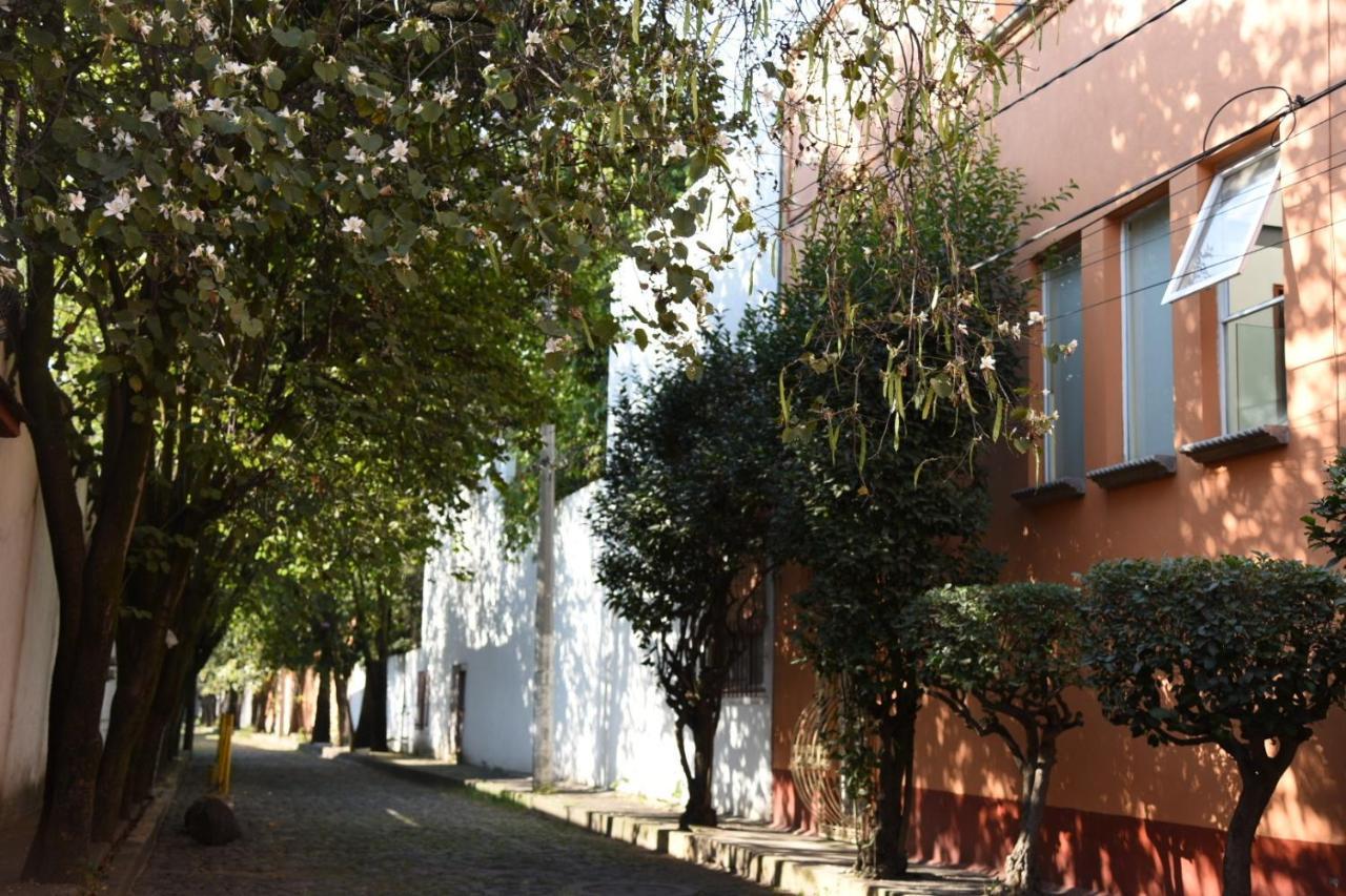 Casa Lulu Coyoacan Альваро-Обрегон Экстерьер фото