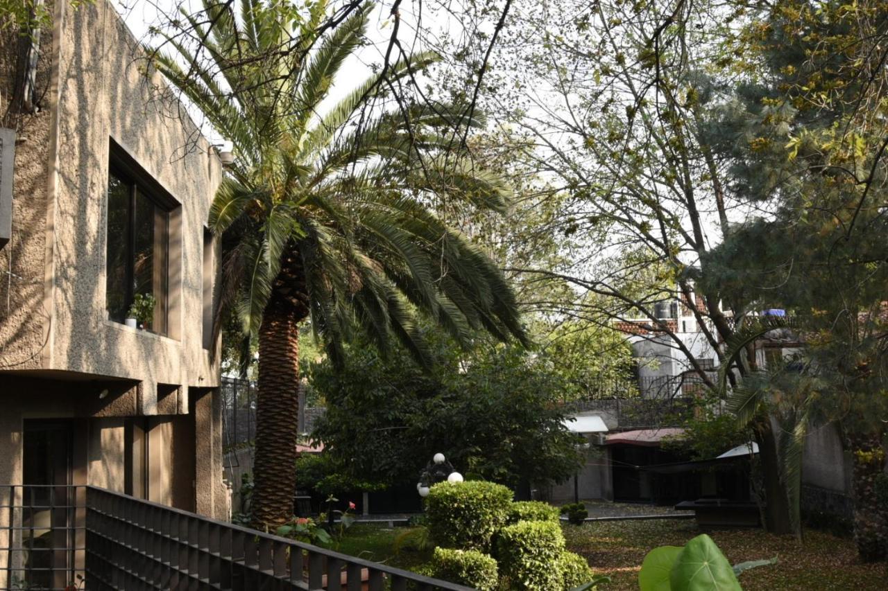 Casa Lulu Coyoacan Альваро-Обрегон Экстерьер фото