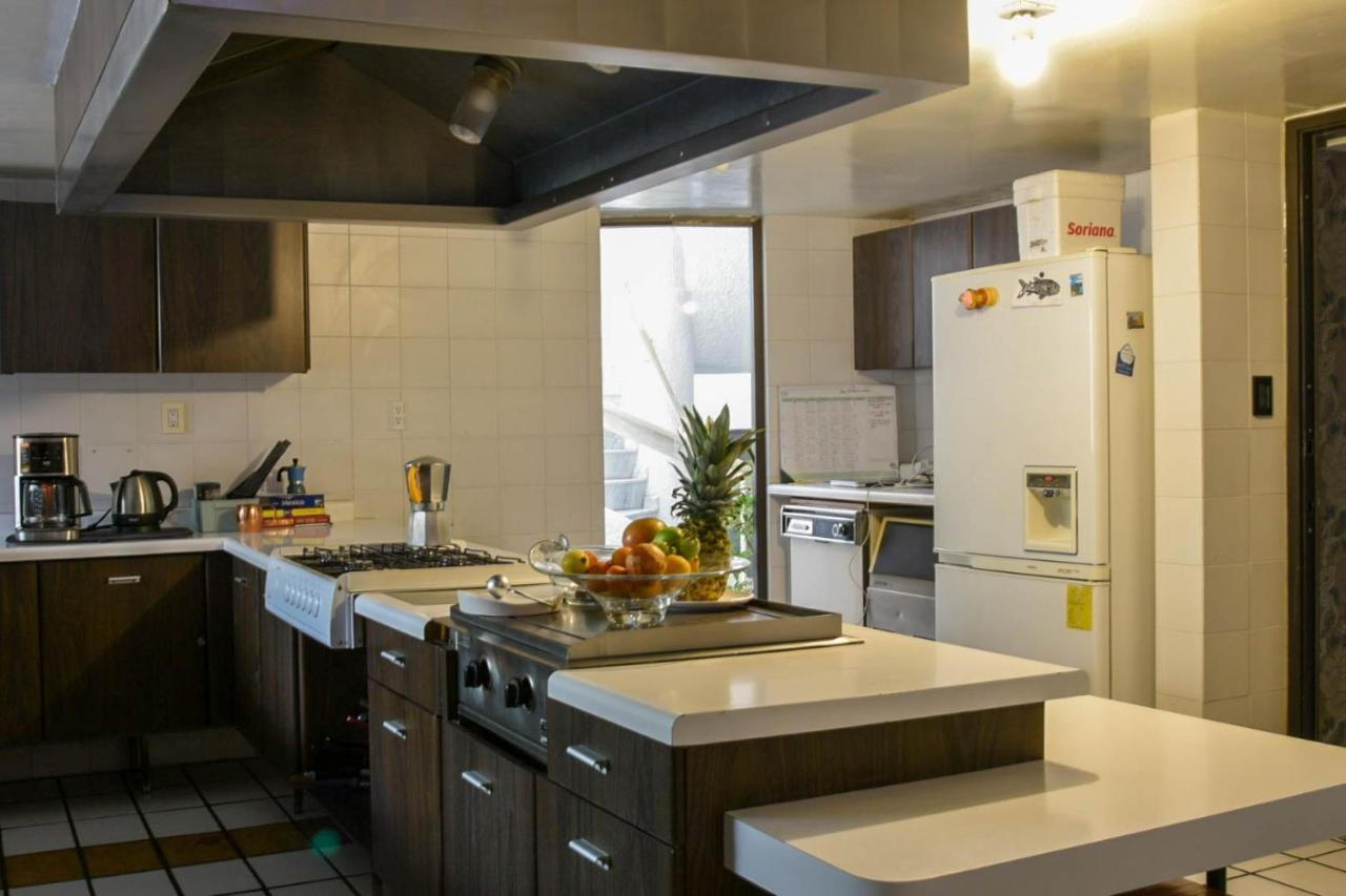 Casa Lulu Coyoacan Альваро-Обрегон Экстерьер фото