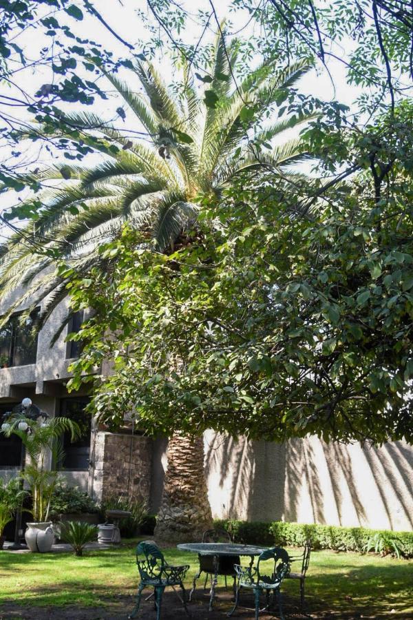 Casa Lulu Coyoacan Альваро-Обрегон Экстерьер фото