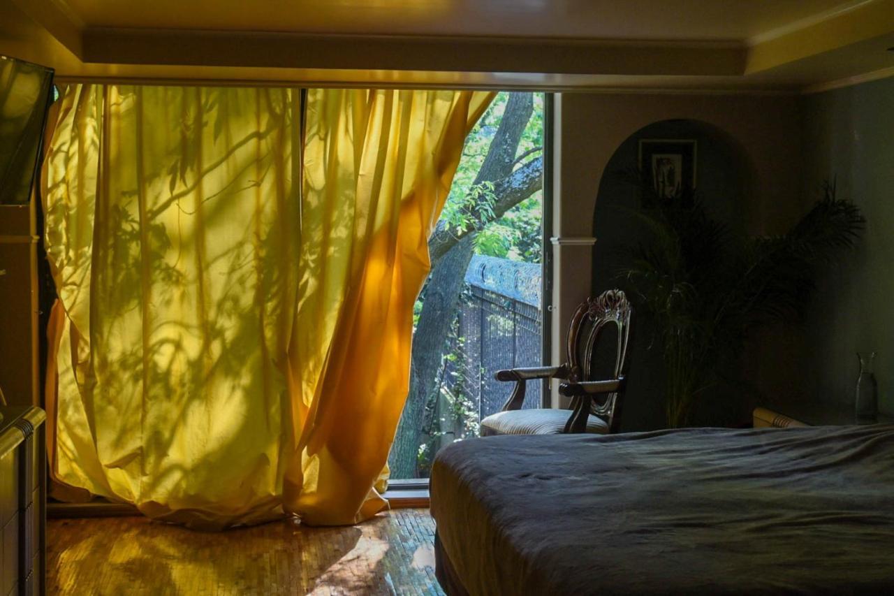 Casa Lulu Coyoacan Альваро-Обрегон Экстерьер фото